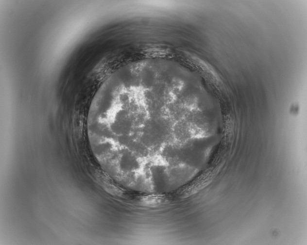 X0000093740761200711131101