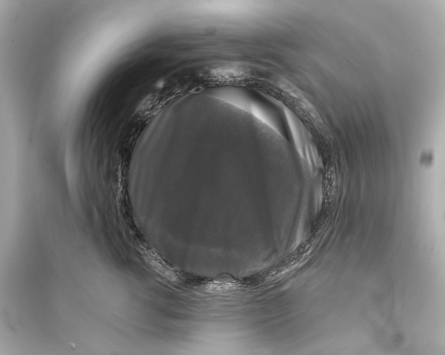 X0000093740762200711131101