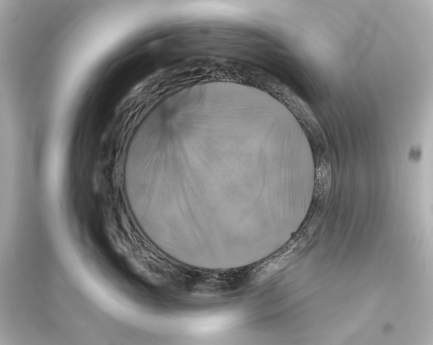 X0000093740765200711131101