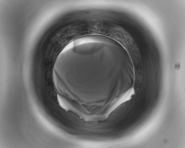 X0000093740766200711131101