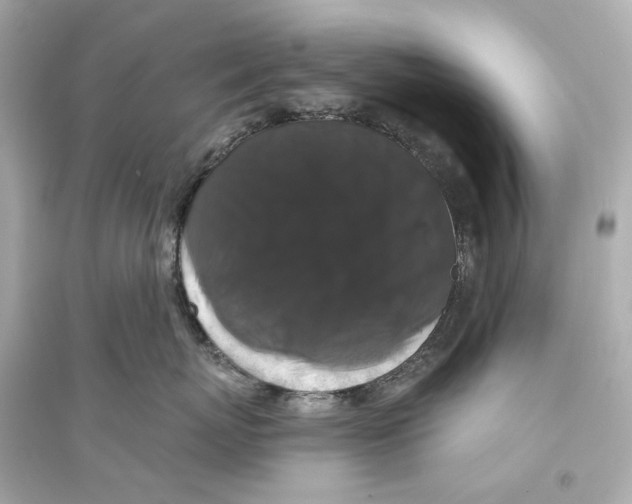X0000093740767200711131101