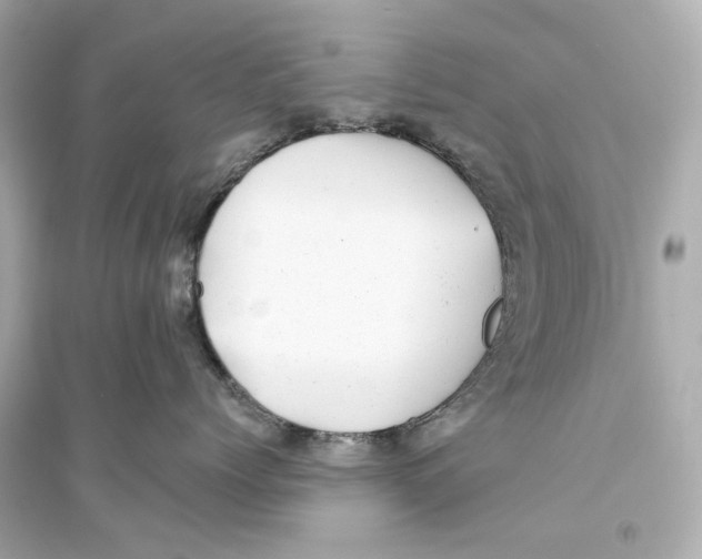 X0000093740768200711131101