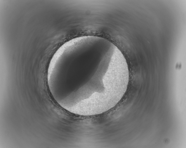X0000093740769200711131101