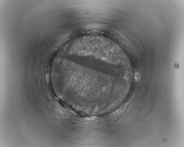 X0000093740771200711131101