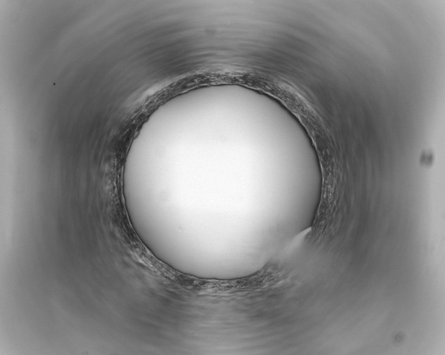 X0000093740773200711131101