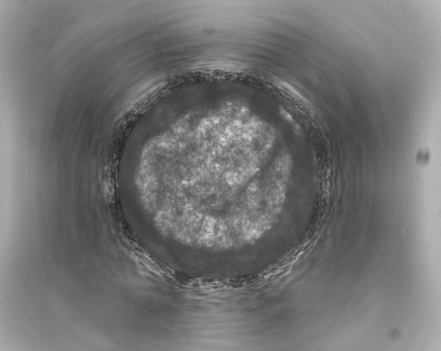 X0000093740774200711131101
