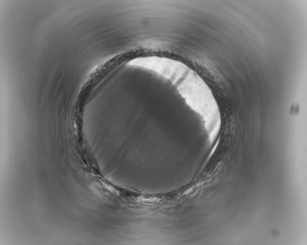 X0000093740776200711131101