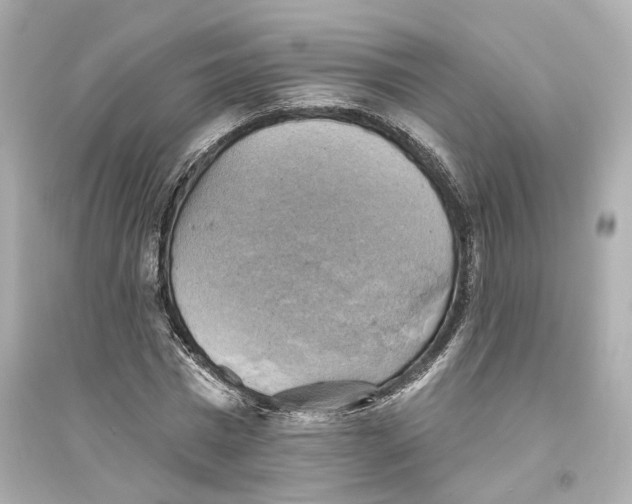 X0000093740777200711131100