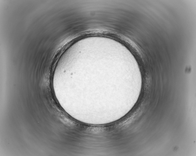 X0000093740778200711131100