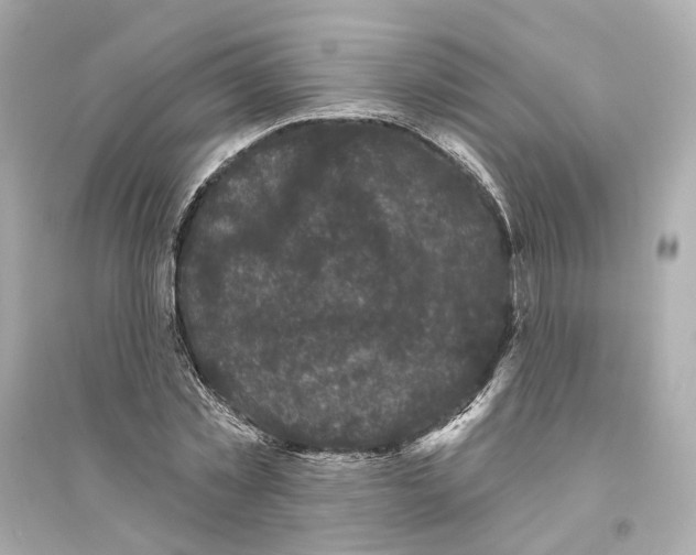 X0000093740781200711131100