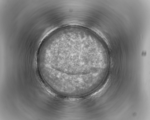 X0000093740782200711131100