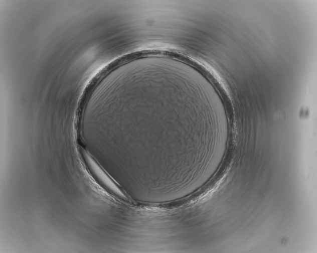 X0000093740783200711131100