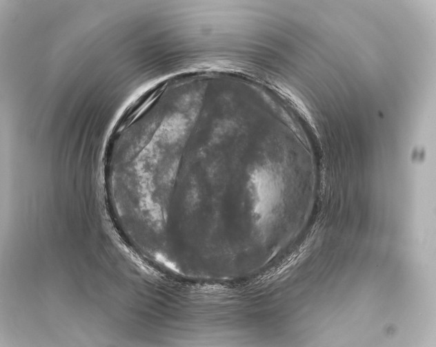 X0000093740784200711131100