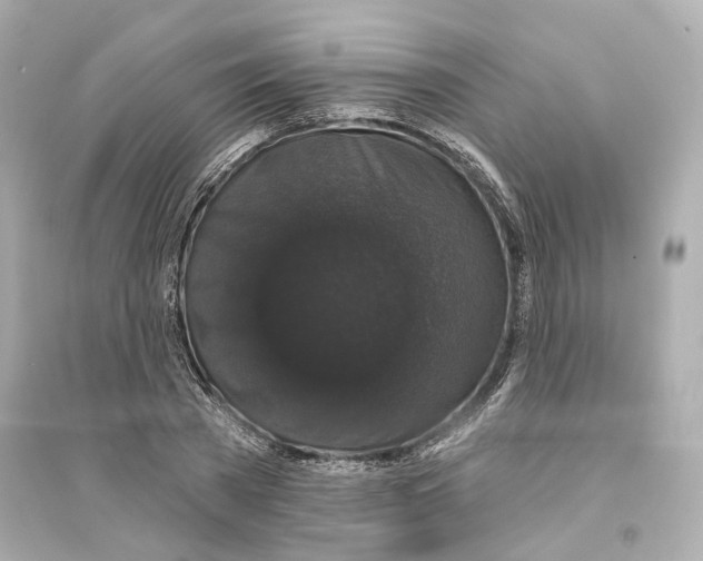 X0000093740785200711131100