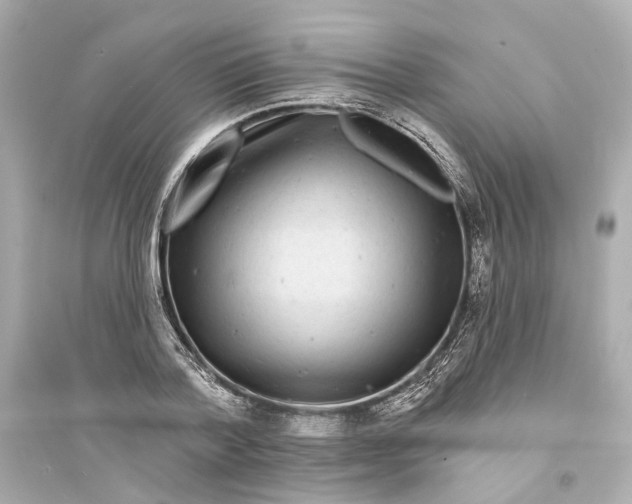 X0000093740788200711131100