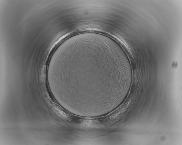 X0000093740790200711131100