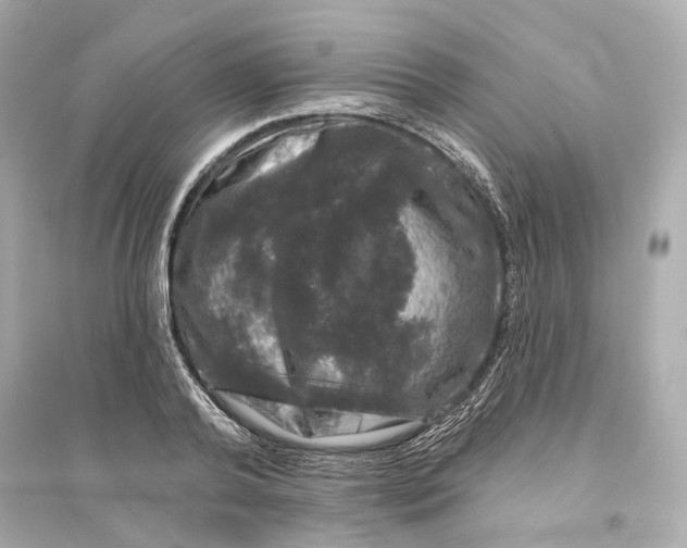 X0000093740792200711131100