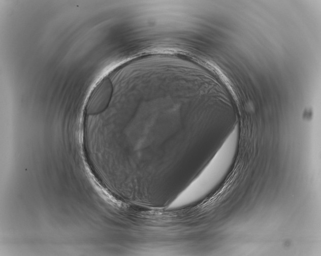 X0000093740795200711131100