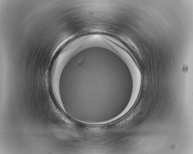 X0000093740798200711131100