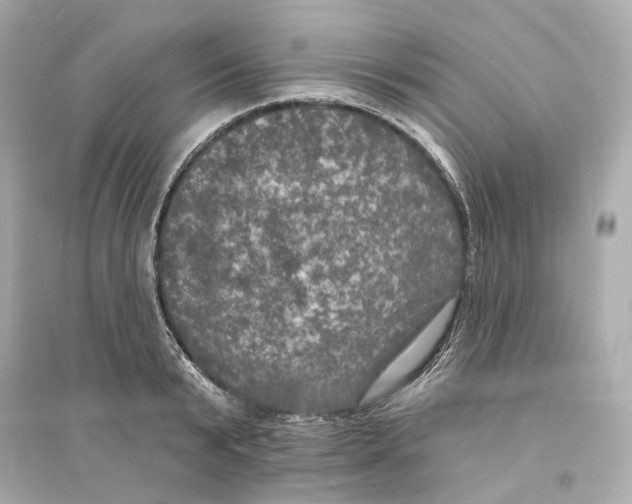 X0000093740799200711131100