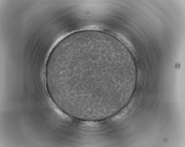 X0000093740800200711131100