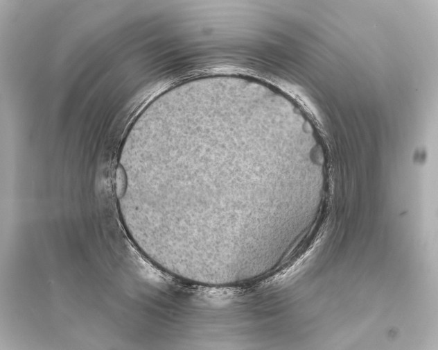 X0000093740801200711131100