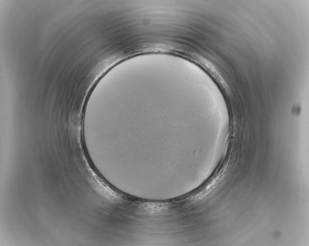 X0000093740802200711131100