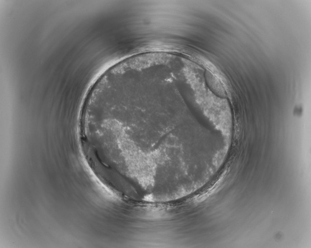 X0000093740803200711131100