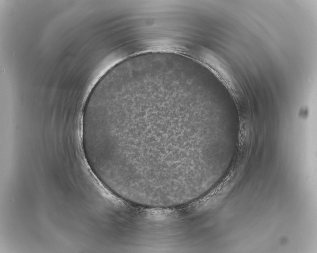 X0000093740804200711131100