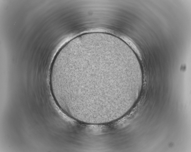 X0000093740805200711131100