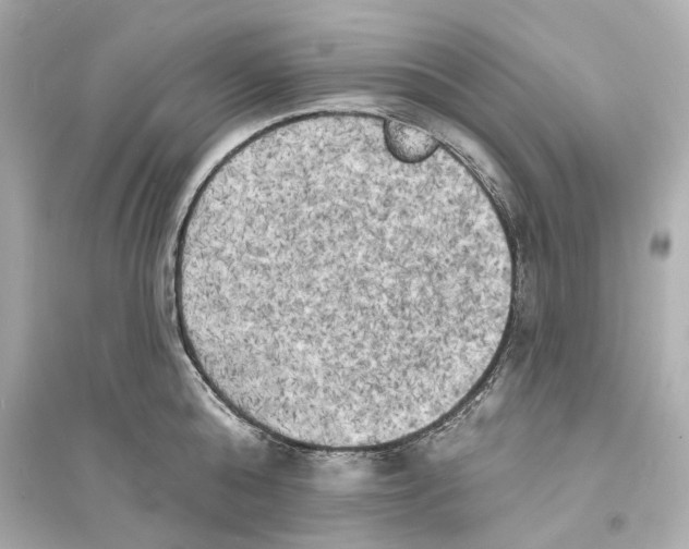 X0000093740808200711131100