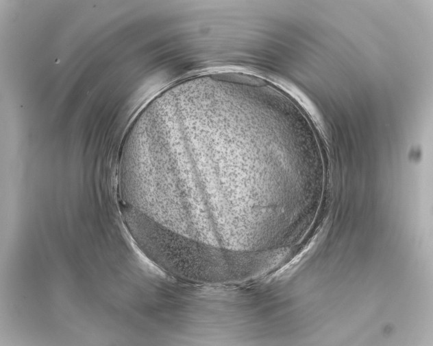 X0000093740809200711131100