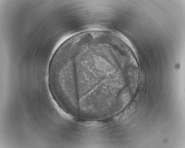 X0000093740811200711131100