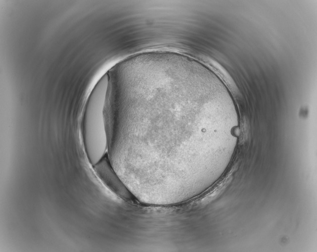 X0000093740812200711131100