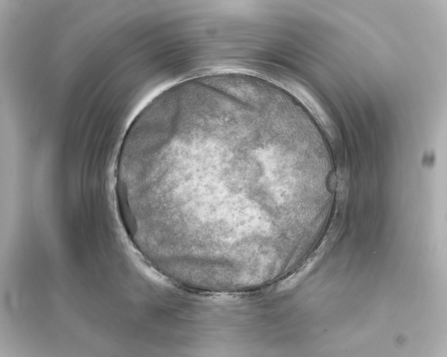X0000093740814200711131100
