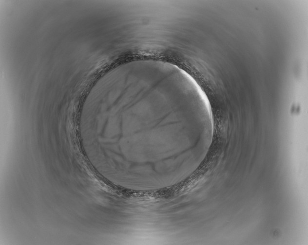 X0000093740817200711131059