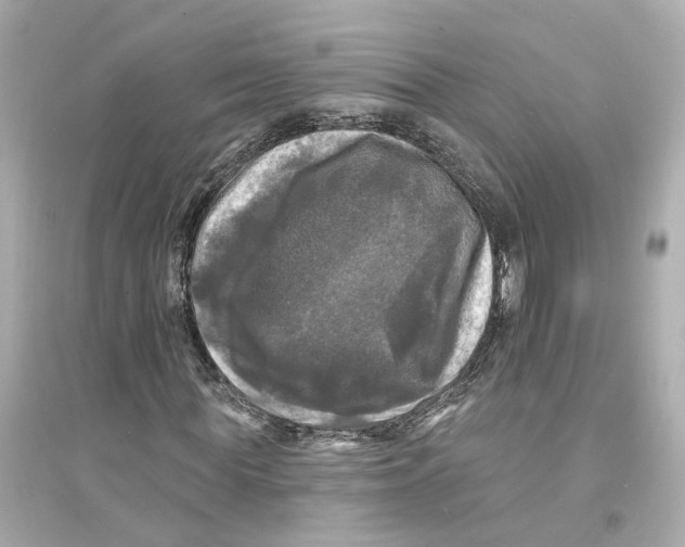 X0000093740819200711131059