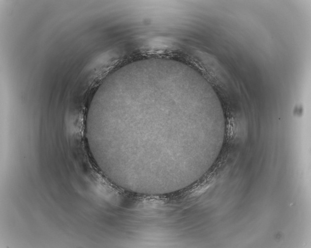 X0000093740820200711131059