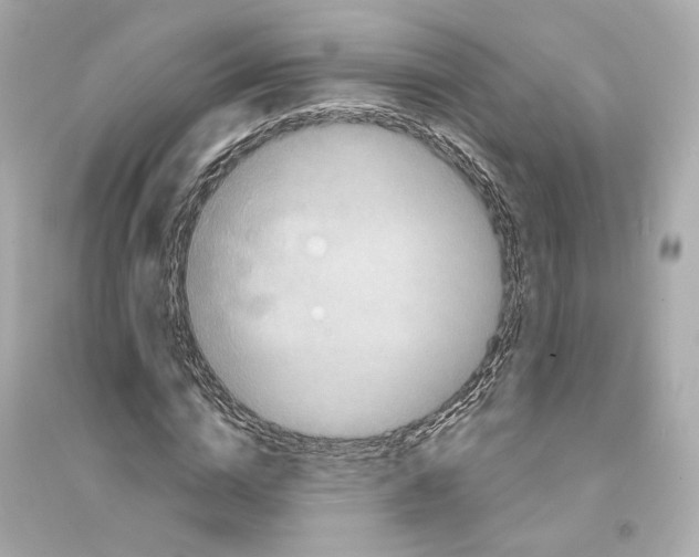 X0000093740824200711131059