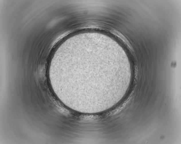 X0000093740826200711131059