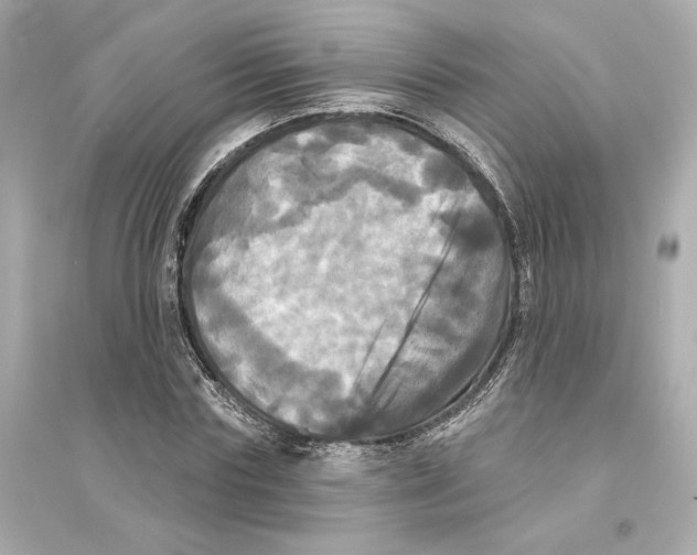 X0000093740827200711131059