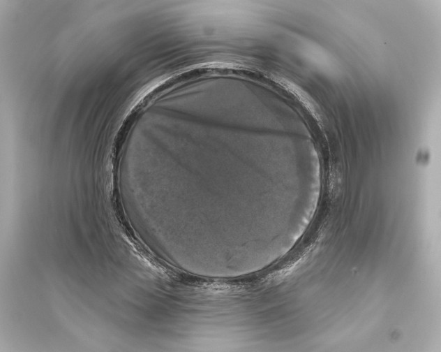 X0000093740829200711131059