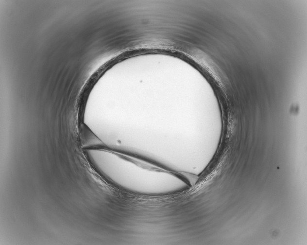 X0000093740830200711131059