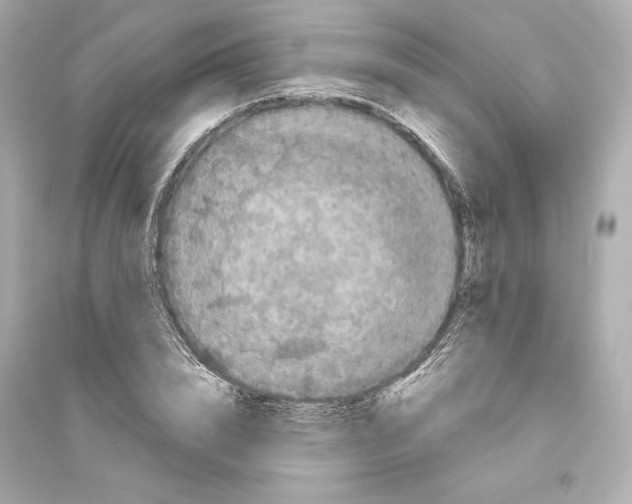 X0000093740832200711131059