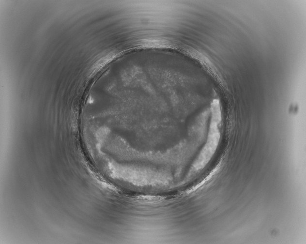X0000093740833200711131100