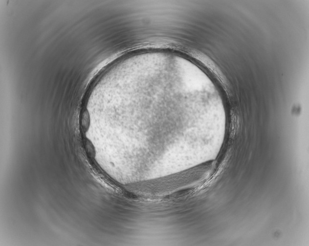 X0000093740834200711131100