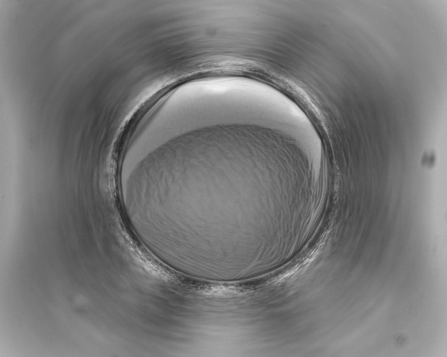 X0000093740835200711131100