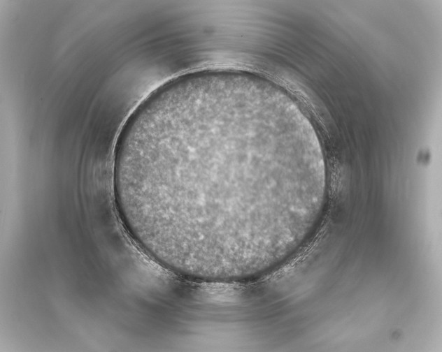 X0000093740836200711131100