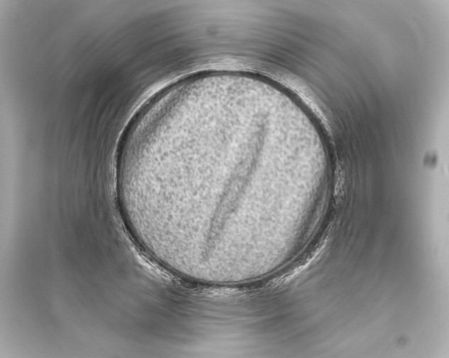 X0000093740837200711131100