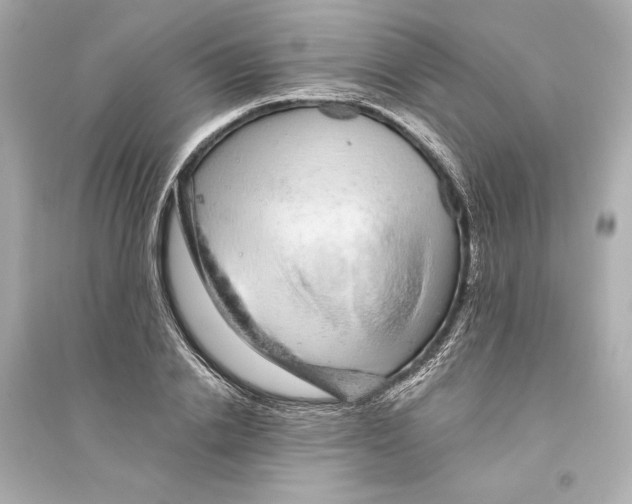 X0000093740838200711131100